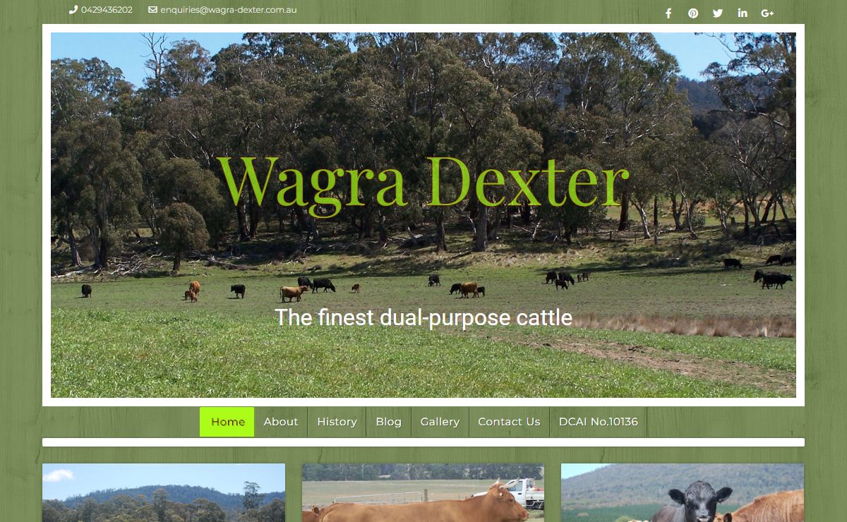 Wagra Dexter – The finest dual-purpose cattle