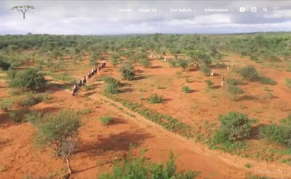 Wait A Little – African Big Five Horse Safaris