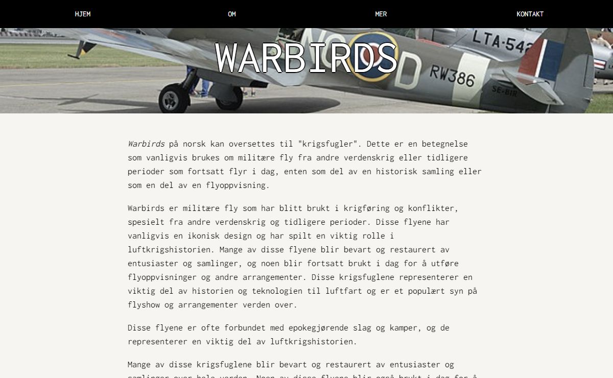WARBIRDS