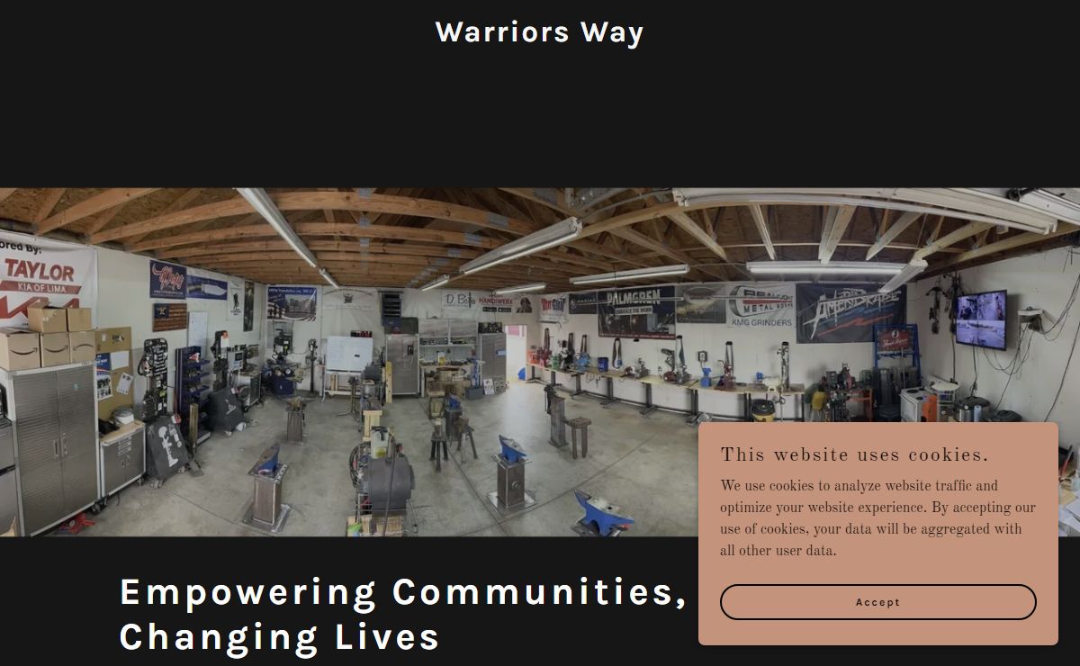 Warriors Way
