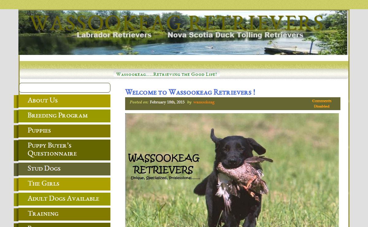 WASSOOKEAG RETRIEVERS - Maine Full-time, Full- Service Retriever Training, Breeding and Boarding Kennel