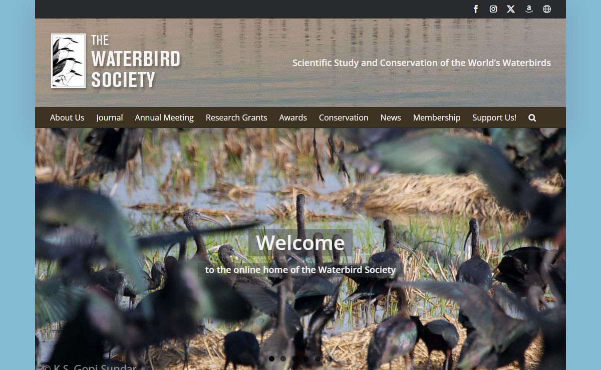 The Waterbird Society – Scientific Study and Conservation of the World's Waterbirds