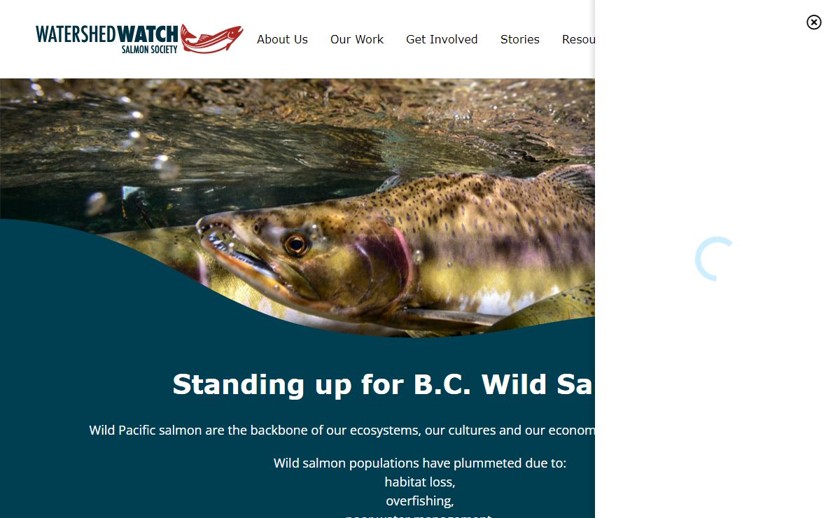 Watershed Watch Salmon Society - Defending BC wild salmon
