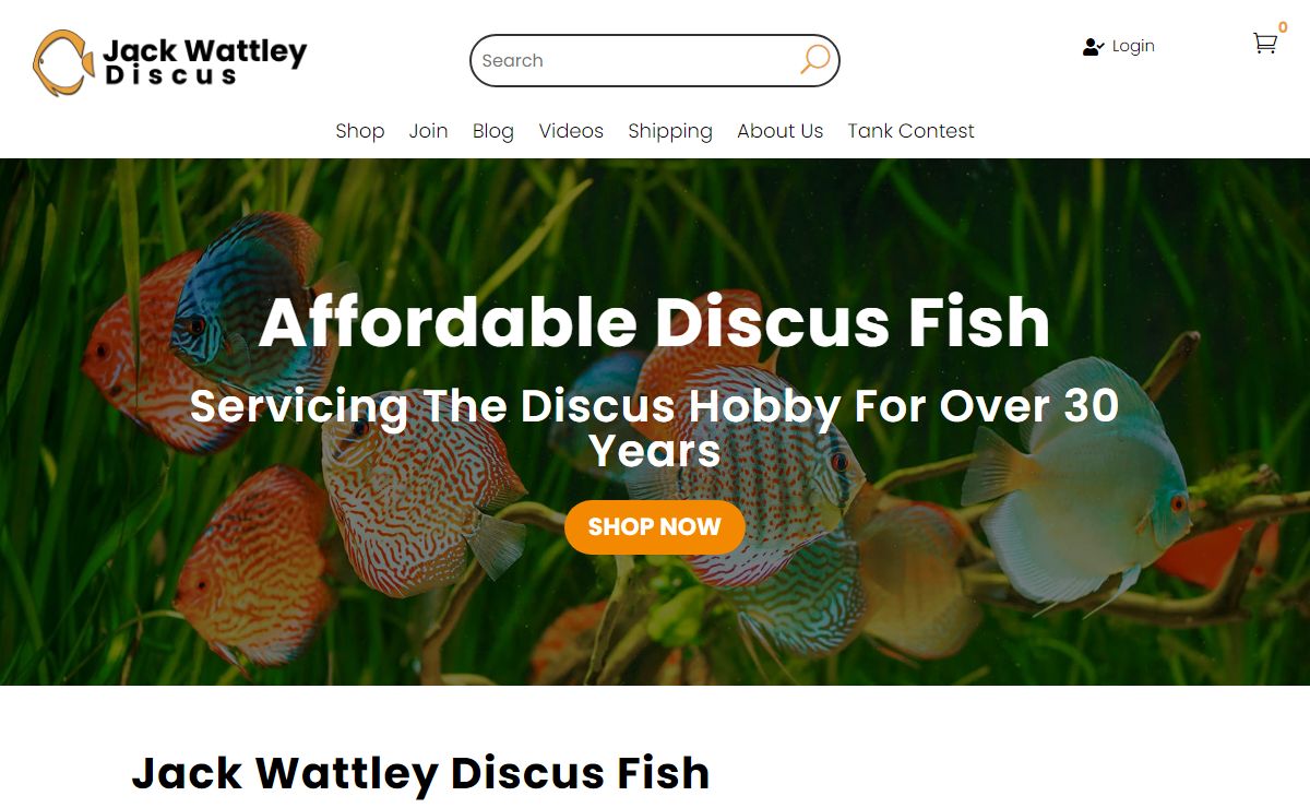 Wattley Discus - Jack Wattley Discus