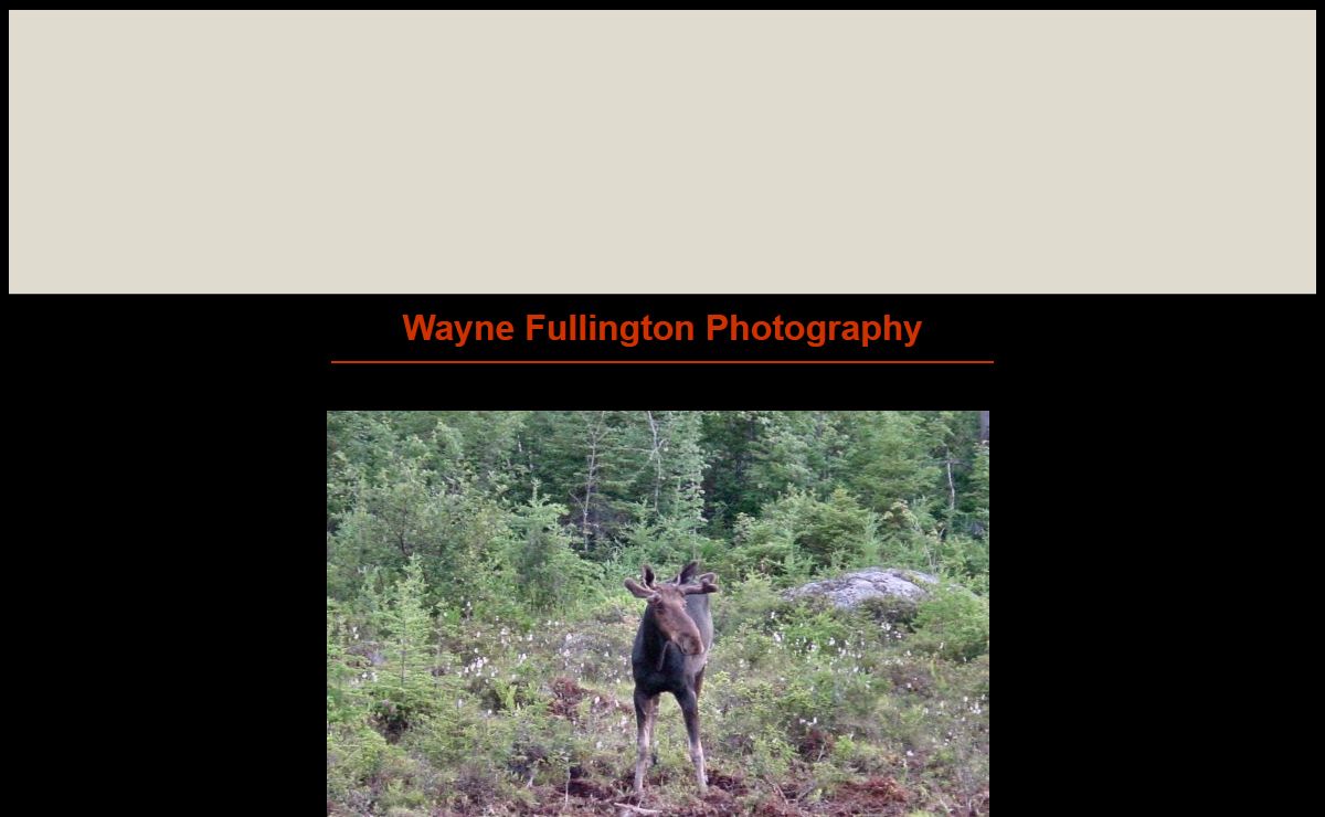 Wayne Fullington Photography