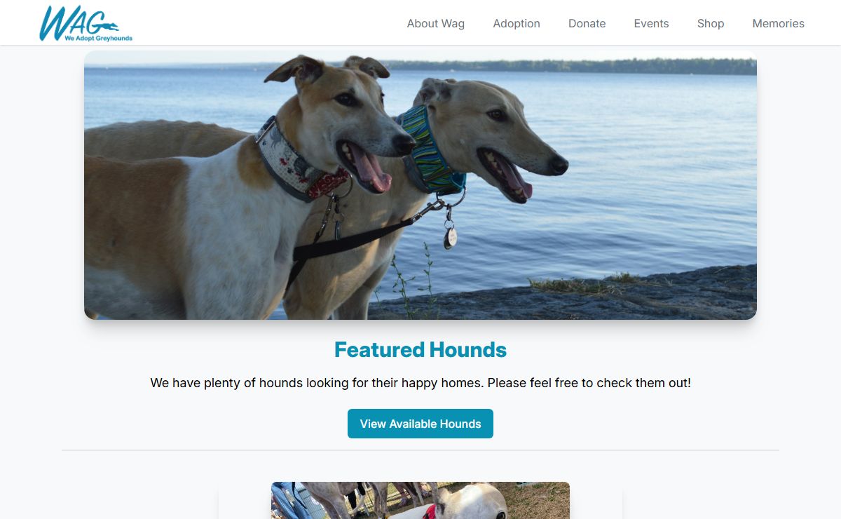Homepage | We Adopt Greyhounds Inc.
