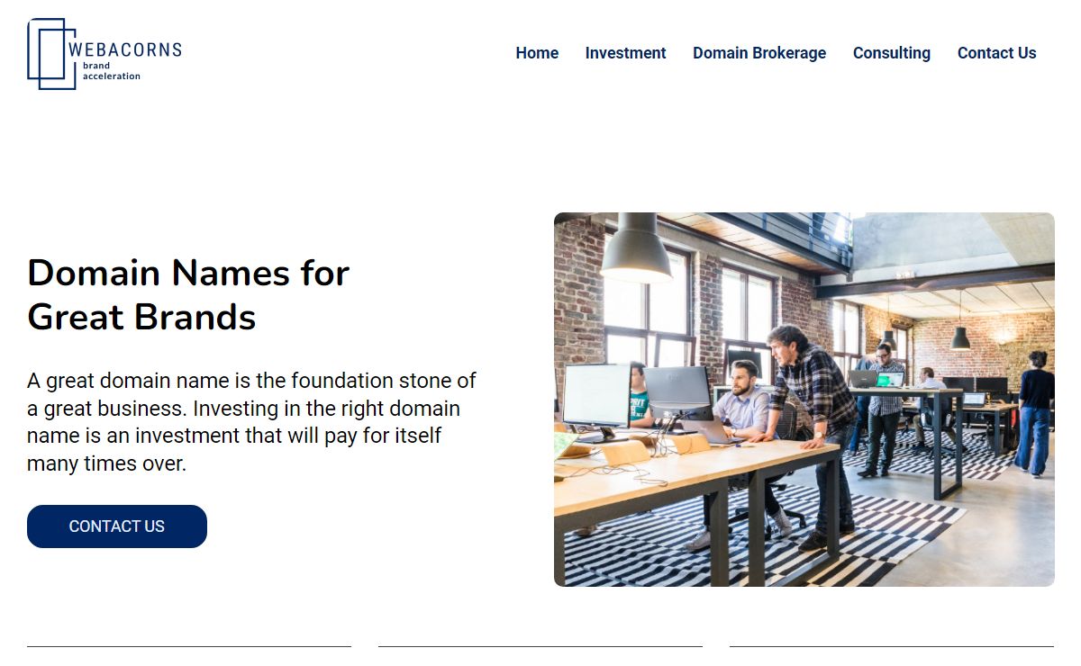 Web Acorns - Domain Name Brokerage and Domain Name Consultants