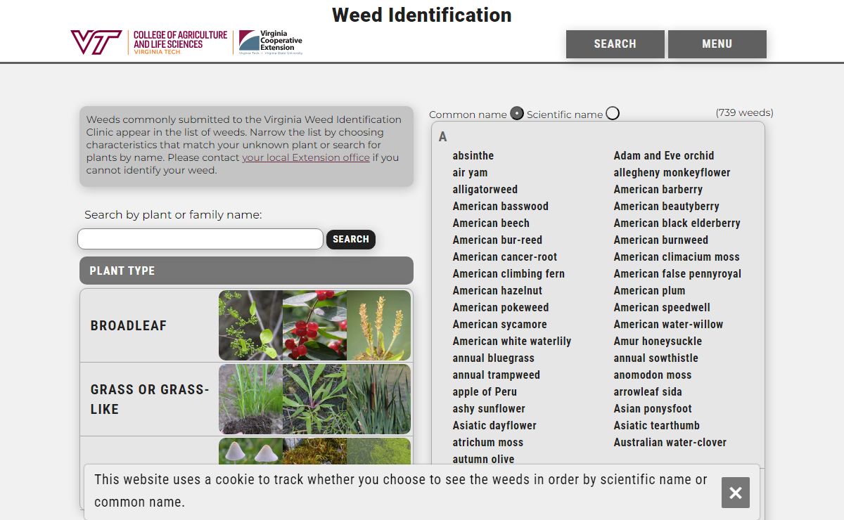 Start - Weed Identification