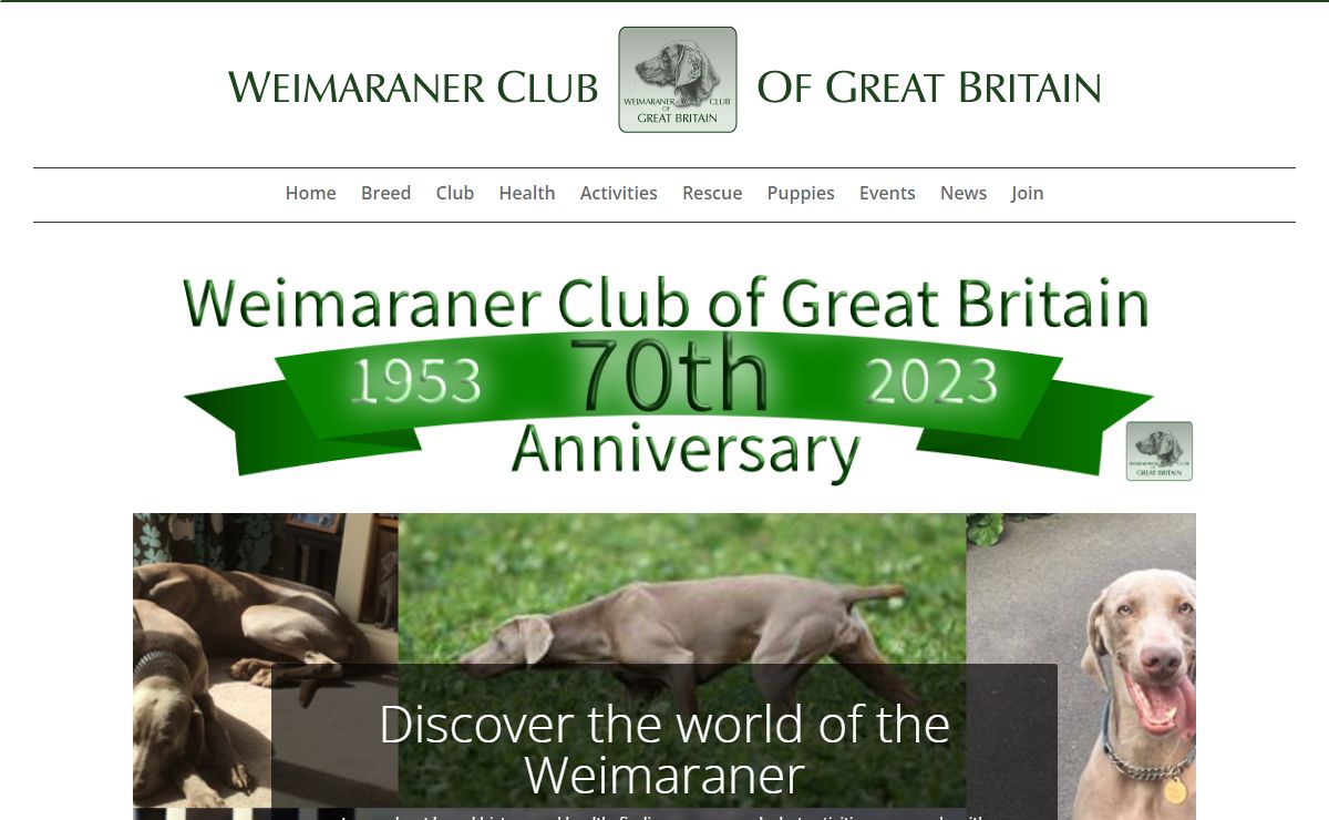 Home - Weimaraner Club of Great Britain