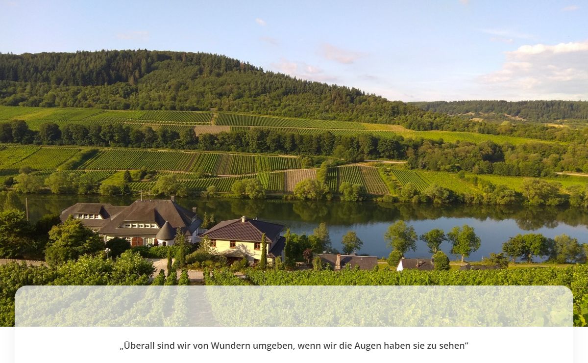 Wein & Sektgut Thielen – Zell Merl Mosel