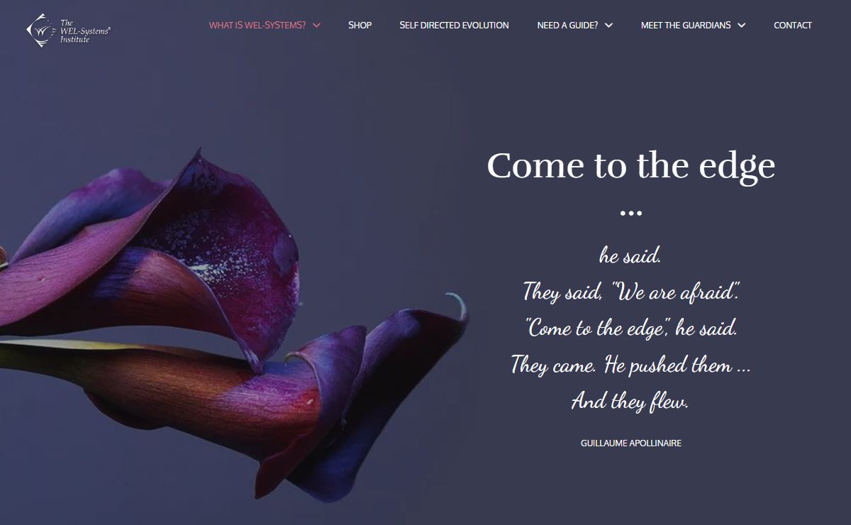 Home - The WEL-Systems Institute