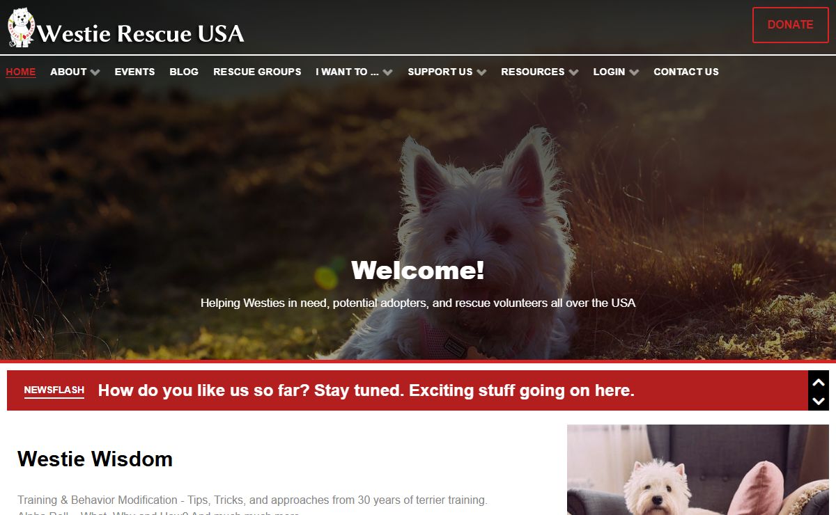 Westie Rescue USA