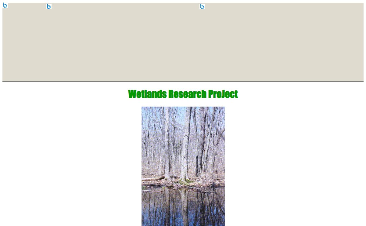 Wetland Research Project