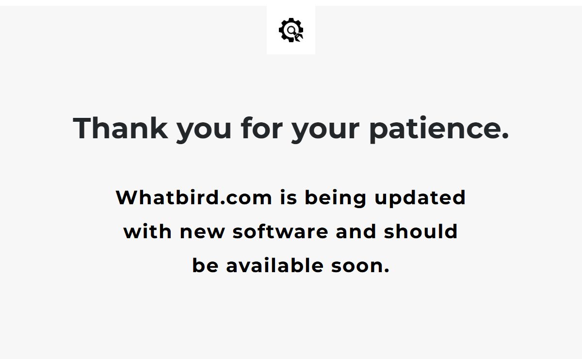 Whatbird.com is under construction