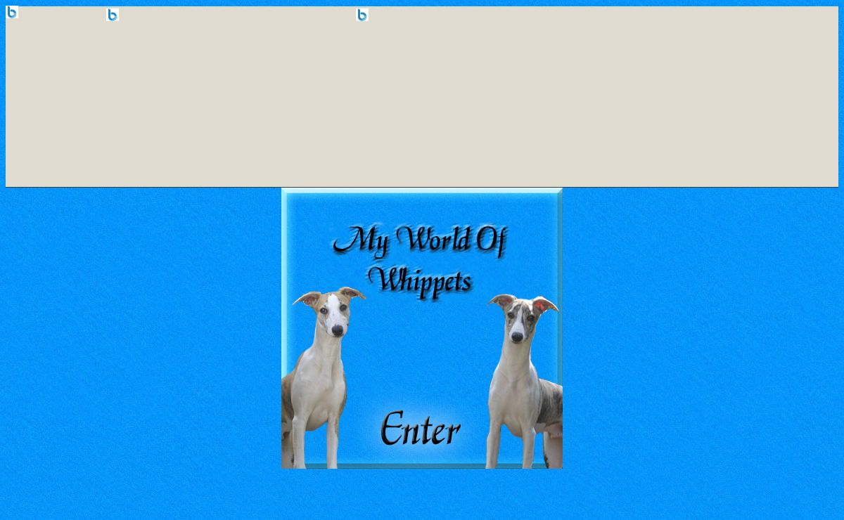Welcome To My World Of Whippets