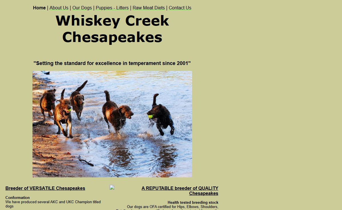 Whiskey Creek Chesapeakes Chessie puppies for sale NC, SC,TN