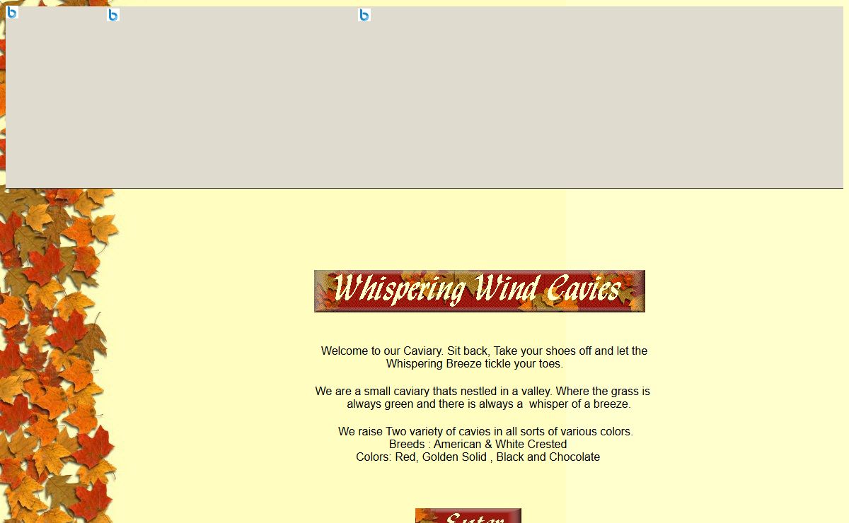 Whispering Wind Cavies