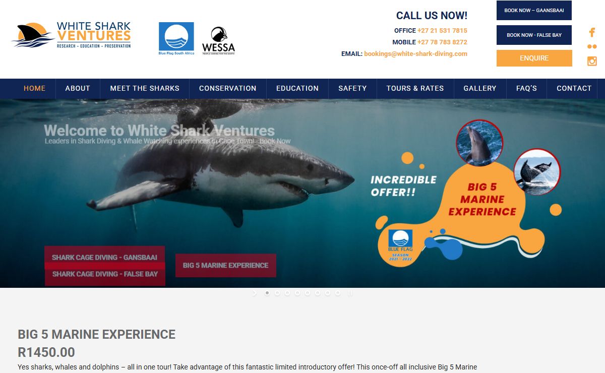 Great White Shark Cage Diving Tours | Cape Town | White Shark Ventures