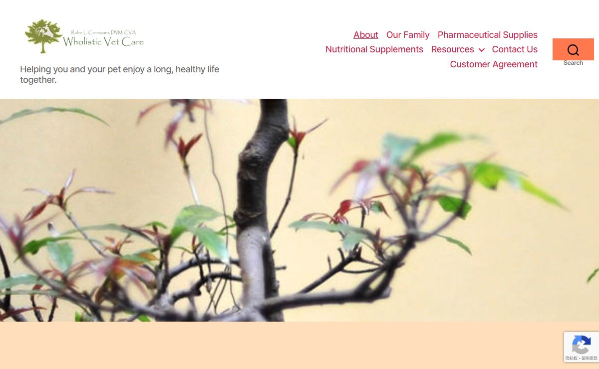 Wholistic Veterinary Care – Helping you and your pet enjoy a long, healthy life together.