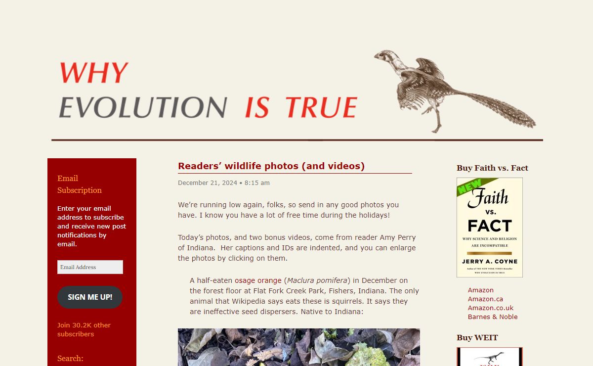 Why Evolution Is True – Why Evolution is True is a blog written by Jerry Coyne, centered on evolution and biology but also dealing with diverse topics like politics, culture, and cats.
