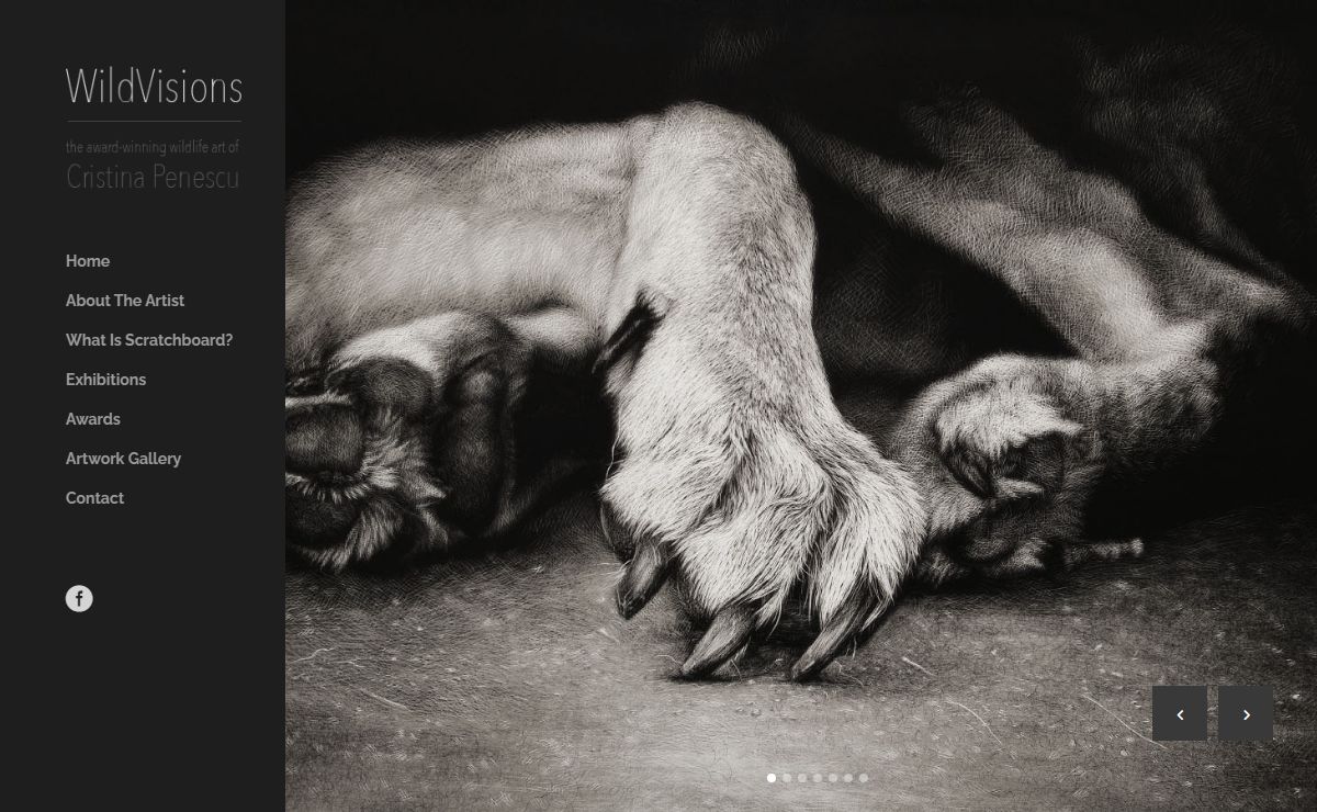 WildVisions | The Award-Winning Wildlife Fine Art of Cristina Penescu