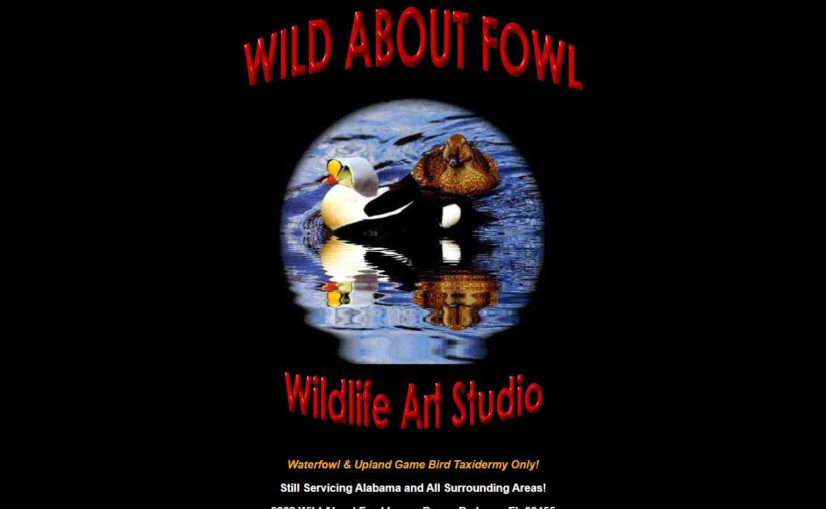 Wild About Fowl Taxidermy, Waterfowl & Upland Gamebirds