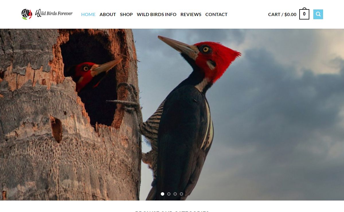 Wild Bird Feeders, Squirrel Proof Bird Feeders, Hummingbird Feeders & Nectars, Bird Houses, Bird Baths & Lowest Prices from Wild Birds Forever