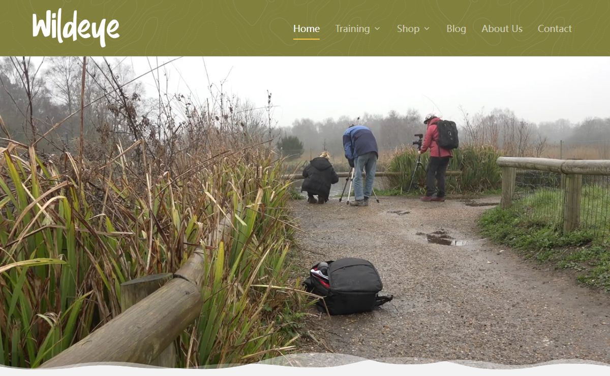 Wildeye | International School of Wildlife Filmmaking