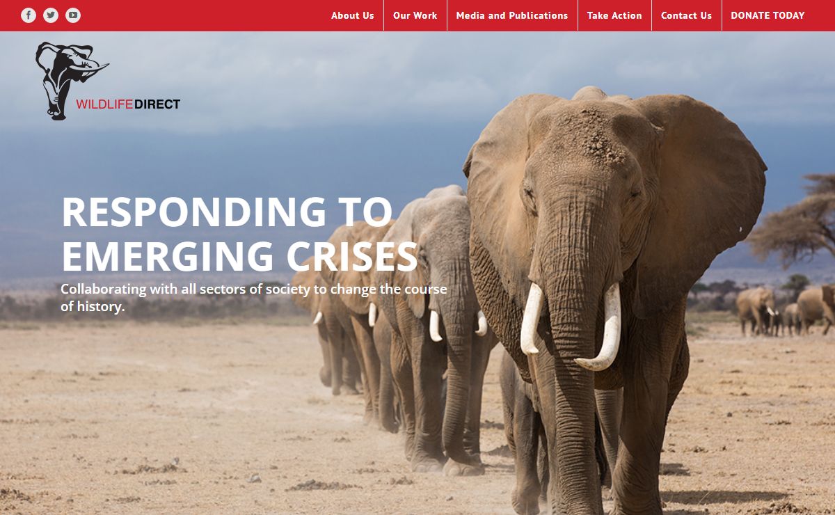 Home - wildlifedirect