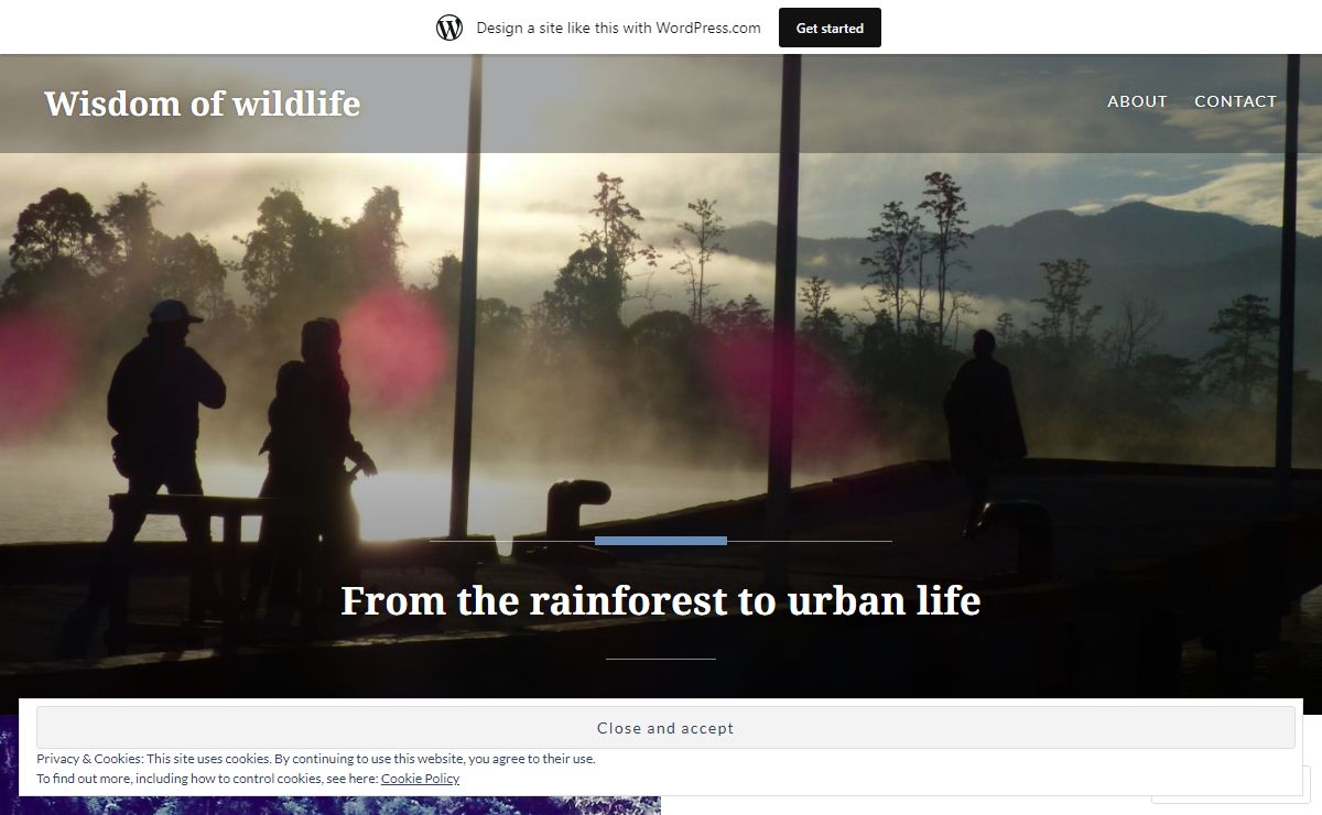 Wisdom of wildlife – From the rainforest to urban life