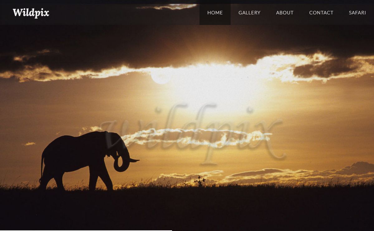 Wildpix | Home