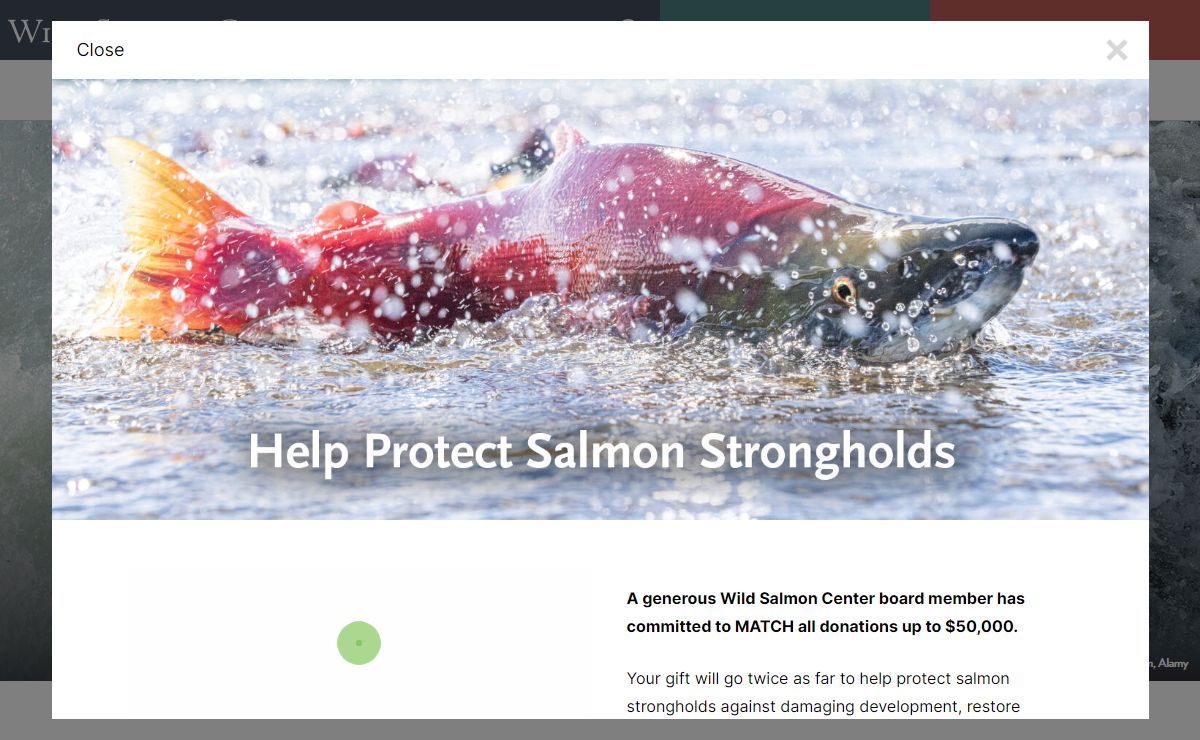 Home - Wild Salmon Center