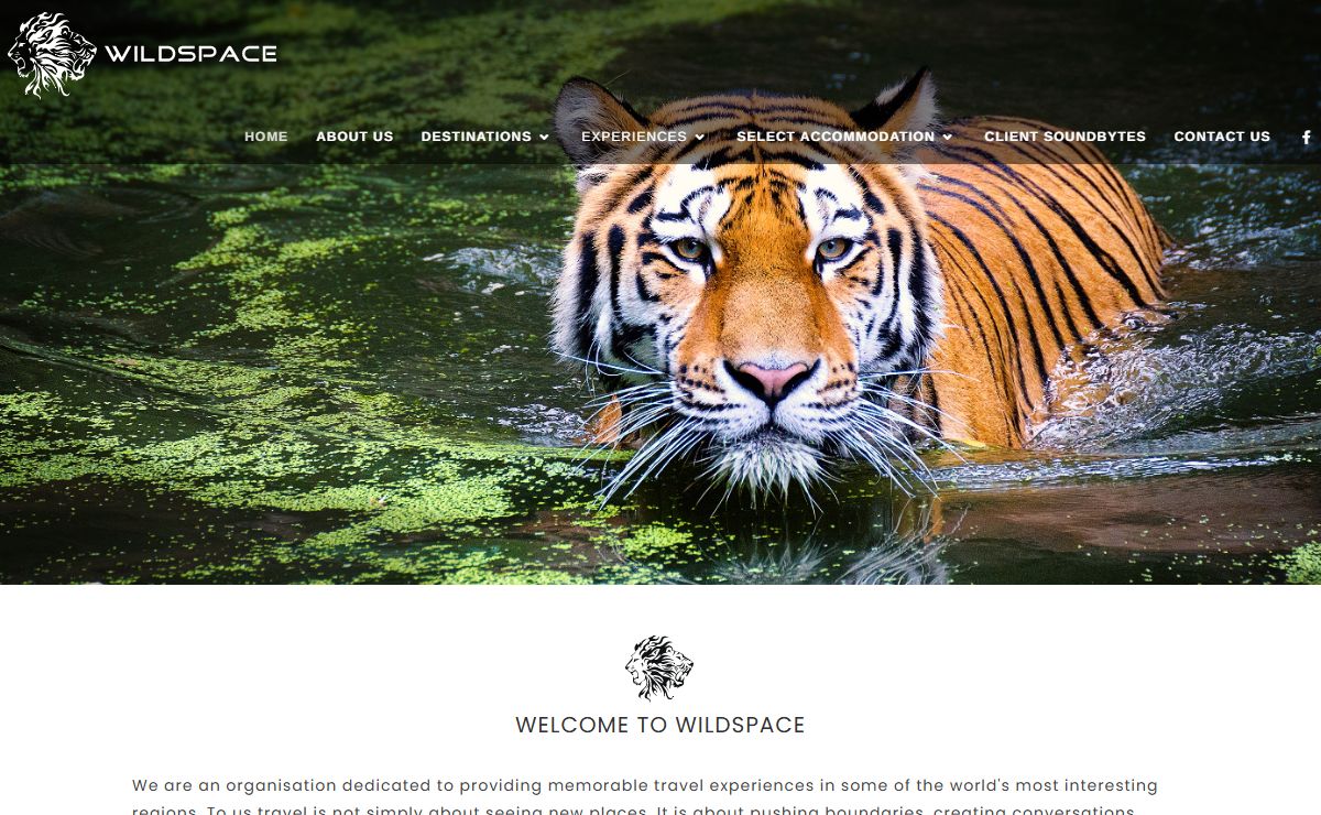 WILDSPACE | NO ONE GETS YOU CLOSER