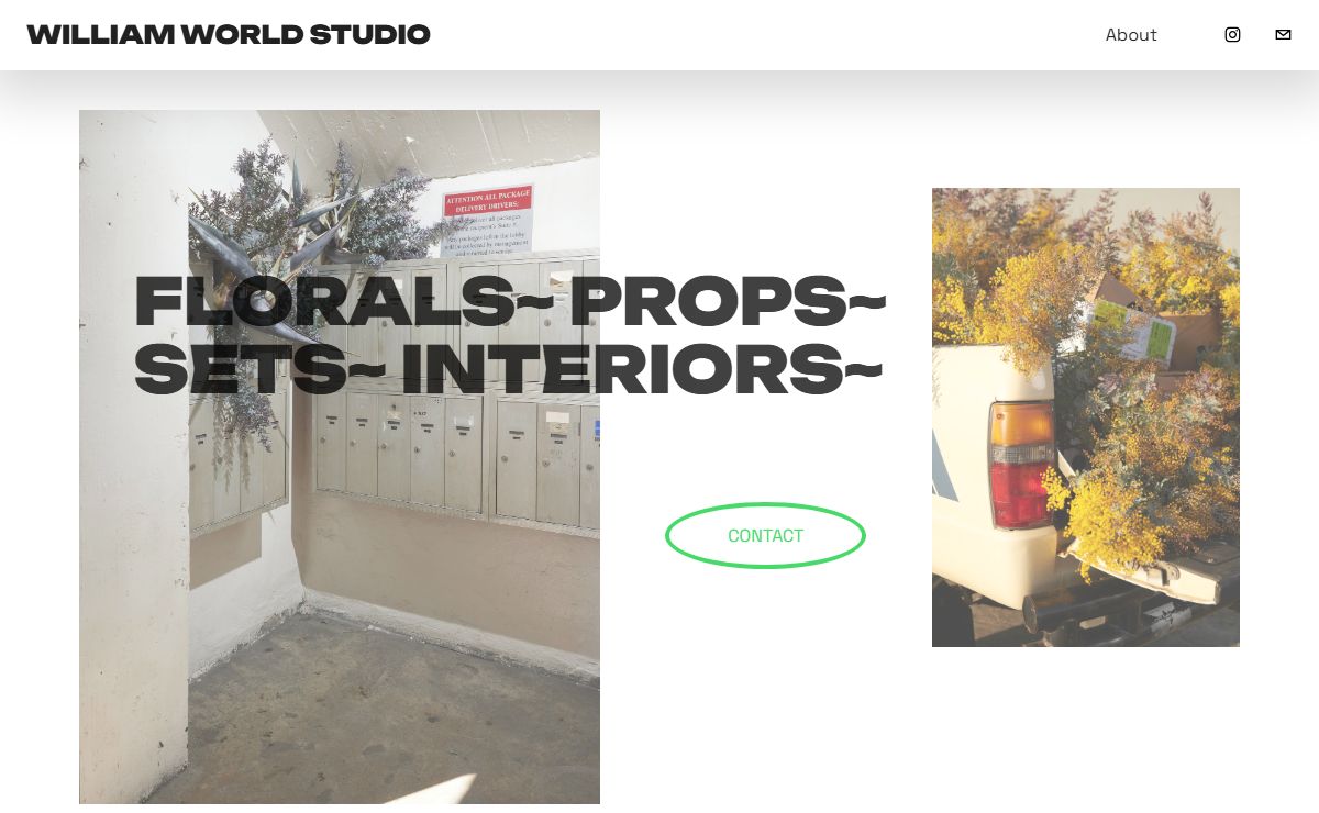 William World Studio