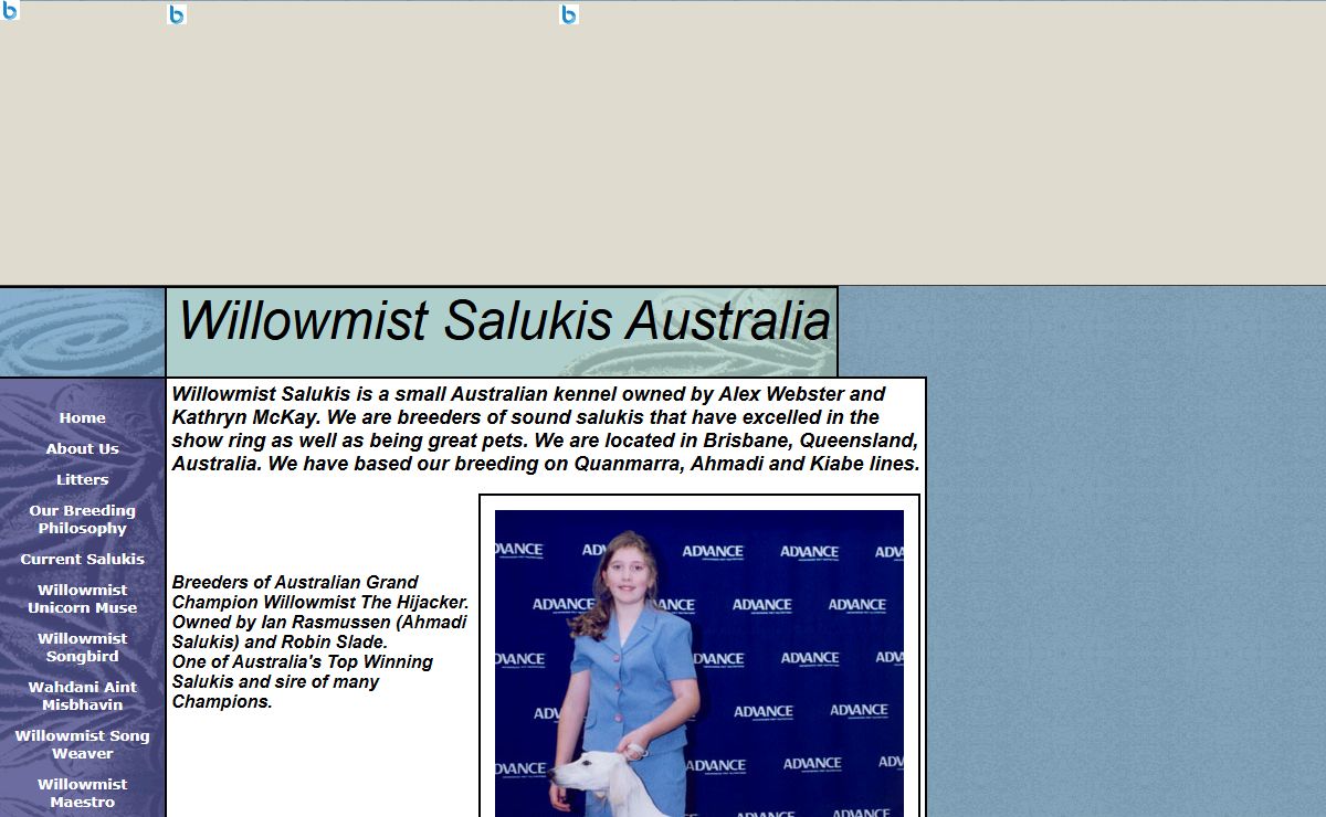 Willowmist Salukis, Brisbane, Queensland, Australia