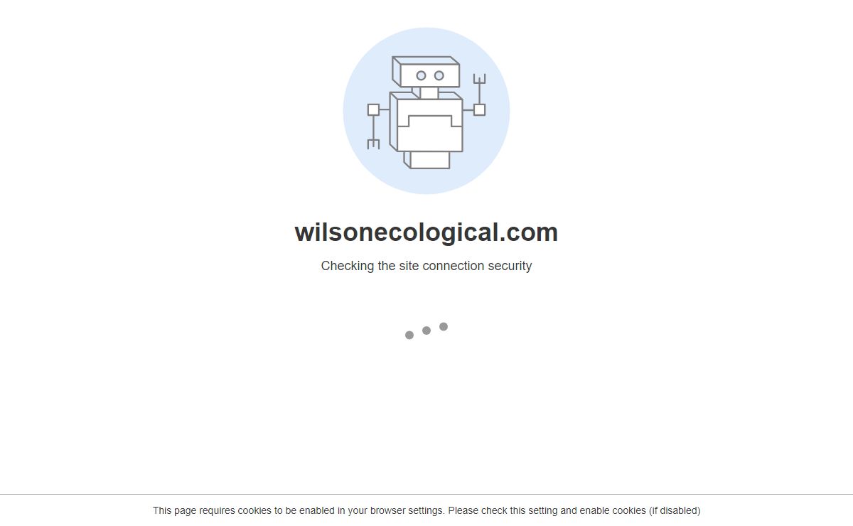 500 - Internal Server Error