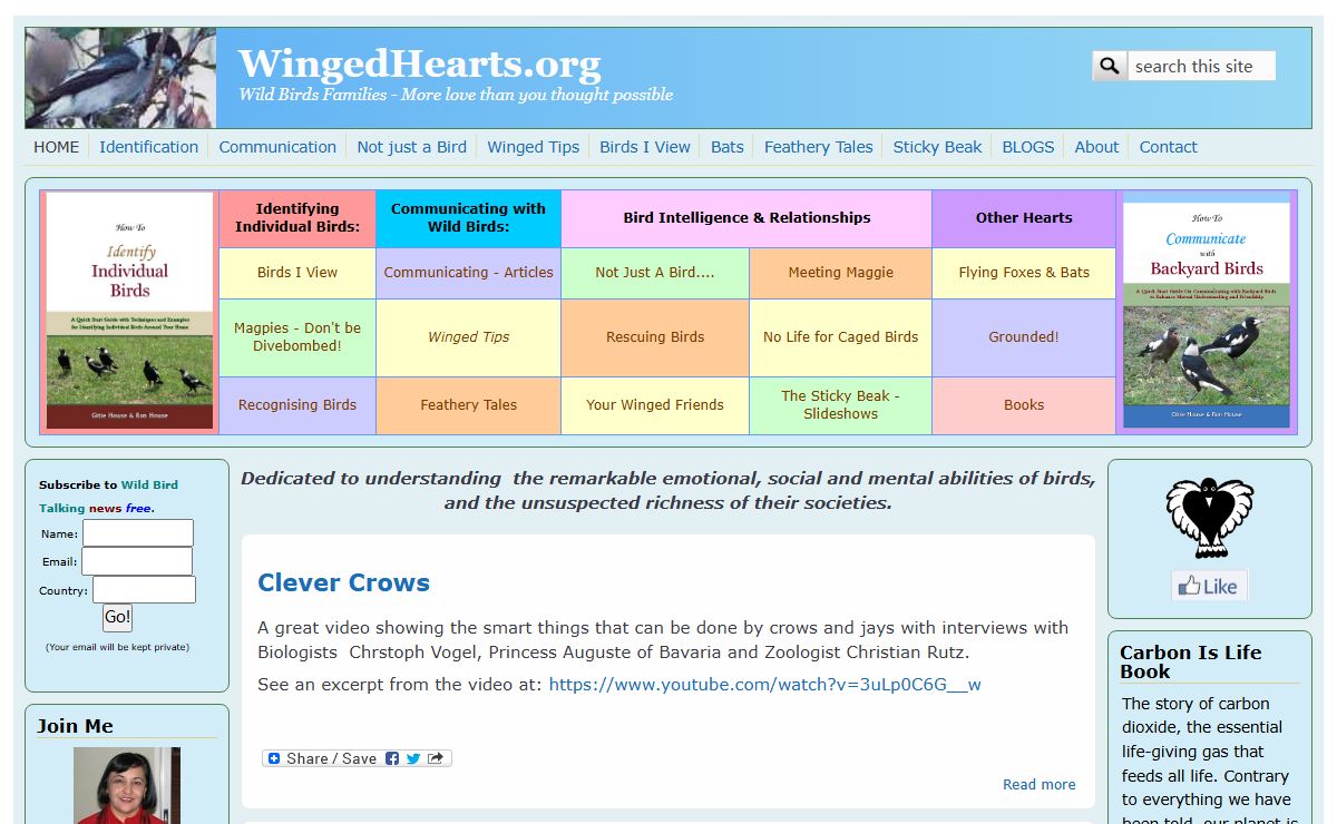 WingedHearts.org | Wild Birds Families - More love than you thought possible