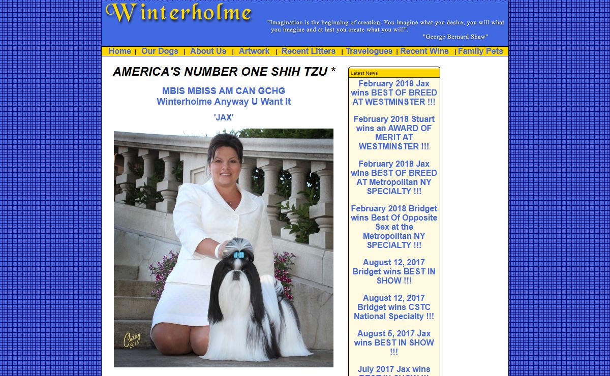 Winterholme - Newfoundland's Foremost Shih Tzu Dog Breeders