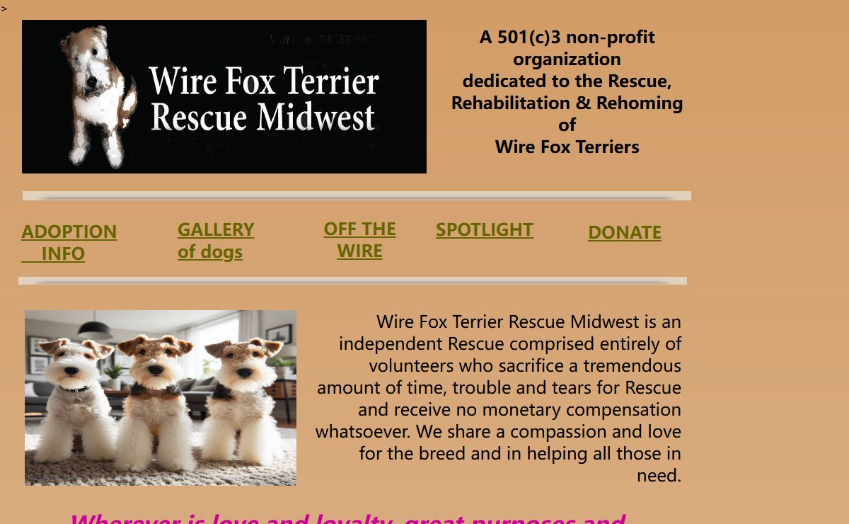 Wire Fox Terrier Rescue Midwest