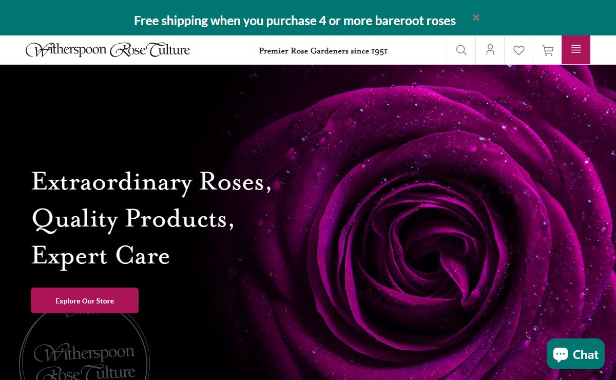 Witherspoon Rose Culture