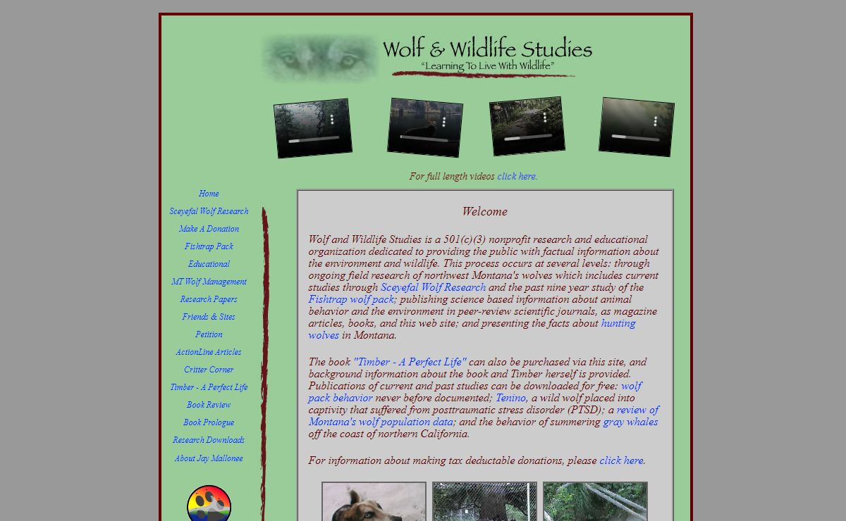 Wolf and Wildlife Studies - wolf research on Montana's Fishtrap pack emphasizing wolf behavior, wolf howling, wolf territory, wolf management, and the production of a wolf howling CD.