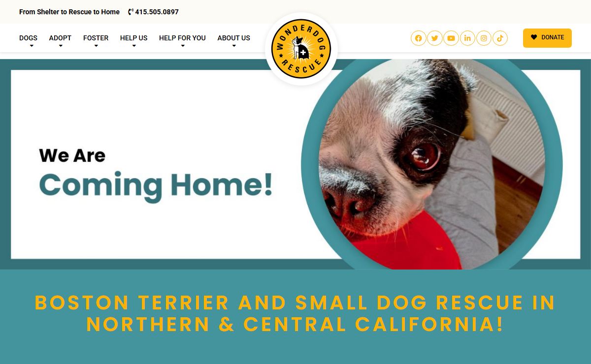 Wonder Dog Rescue – From Shelter to Rescue to Home