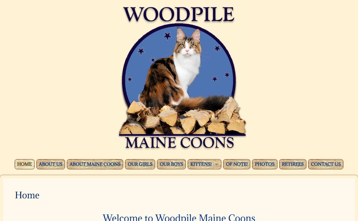 Maine Coon Cattery Woodpile MCS Maine Coons of WA