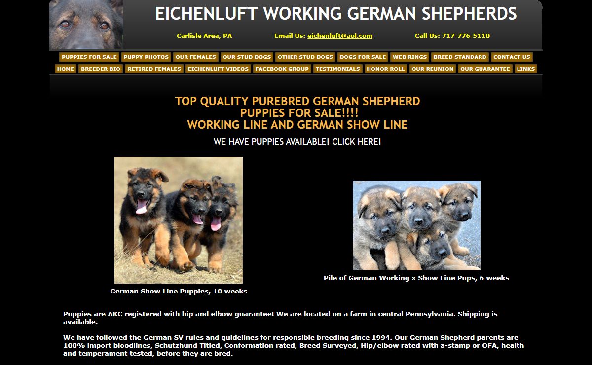 German Shepherd Breeder PA - Eichenluft Working German Shepherds Home - German Shepherd Breeder VA - German Shepherd Breeder MD - German Shepherd Breeder OH - German Shepherd Breeder DC - German Shepherd Breeder NY - German Shepherd Breeder NJ