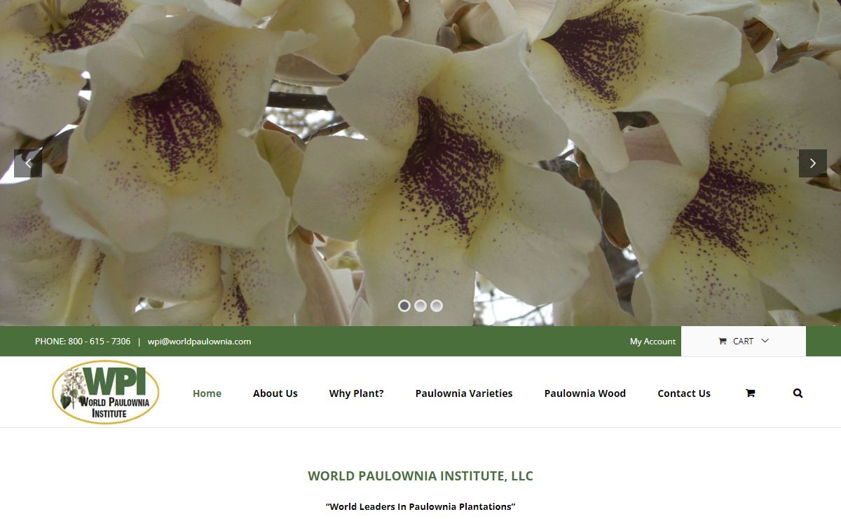 Worldpaulownia