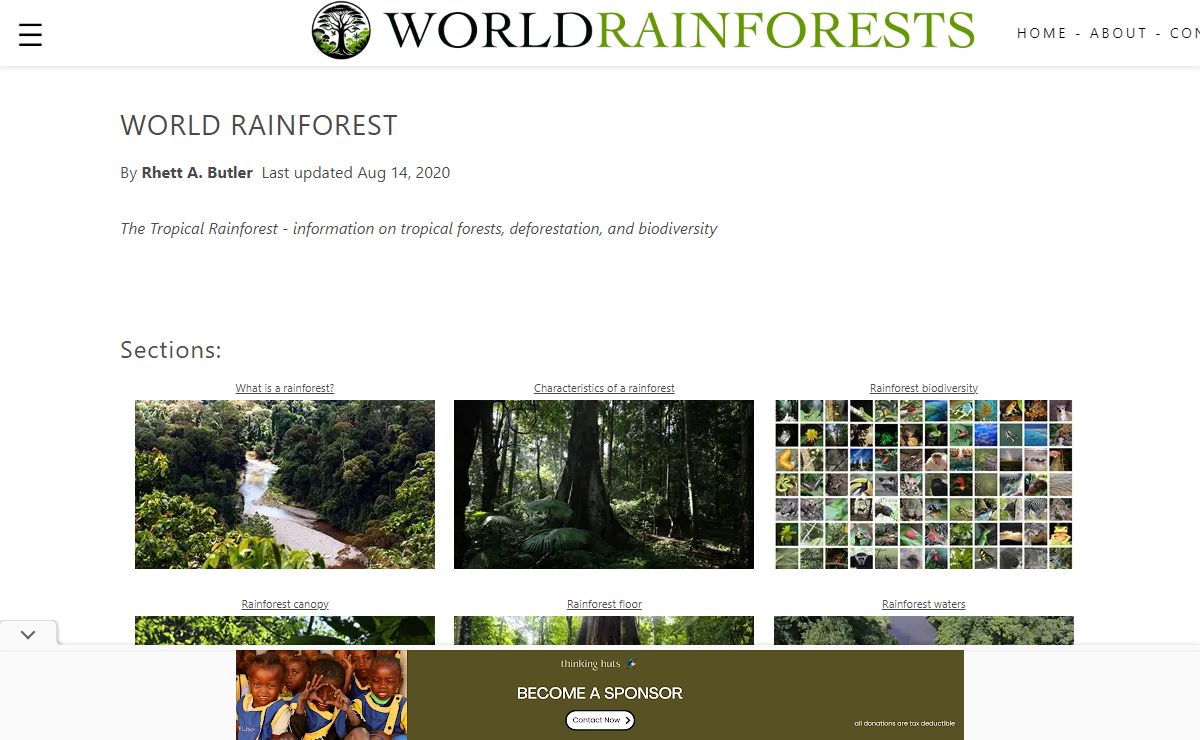 The Tropical Rainforest