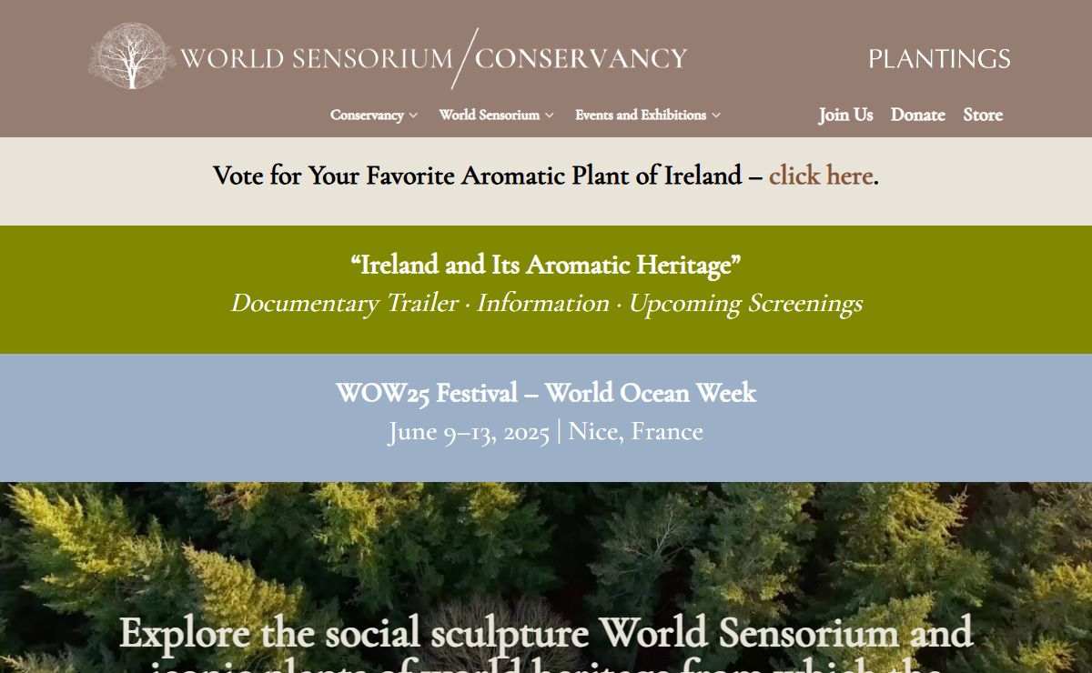 World Sensorium / Conservancy