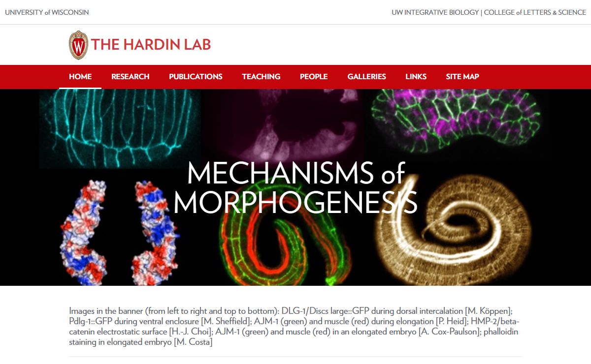 The Hardin Lab