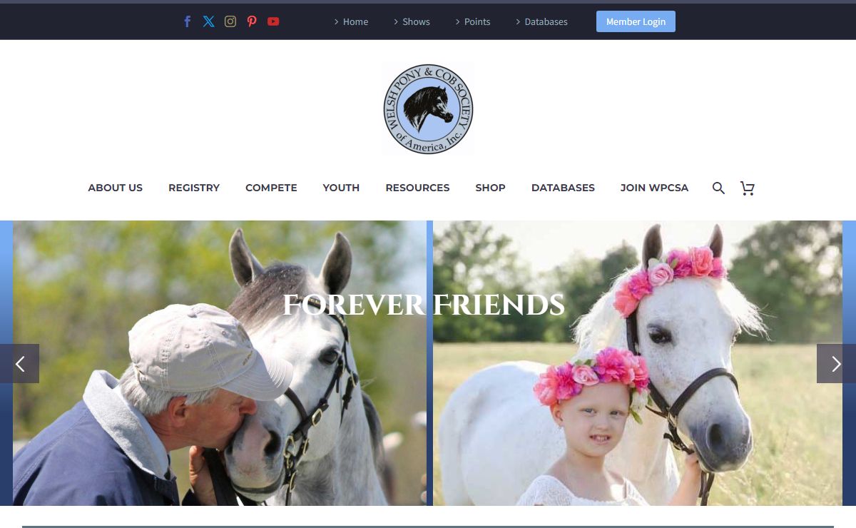 Homepage: Business & Corporate - Welsh Pony & Cob Society of America