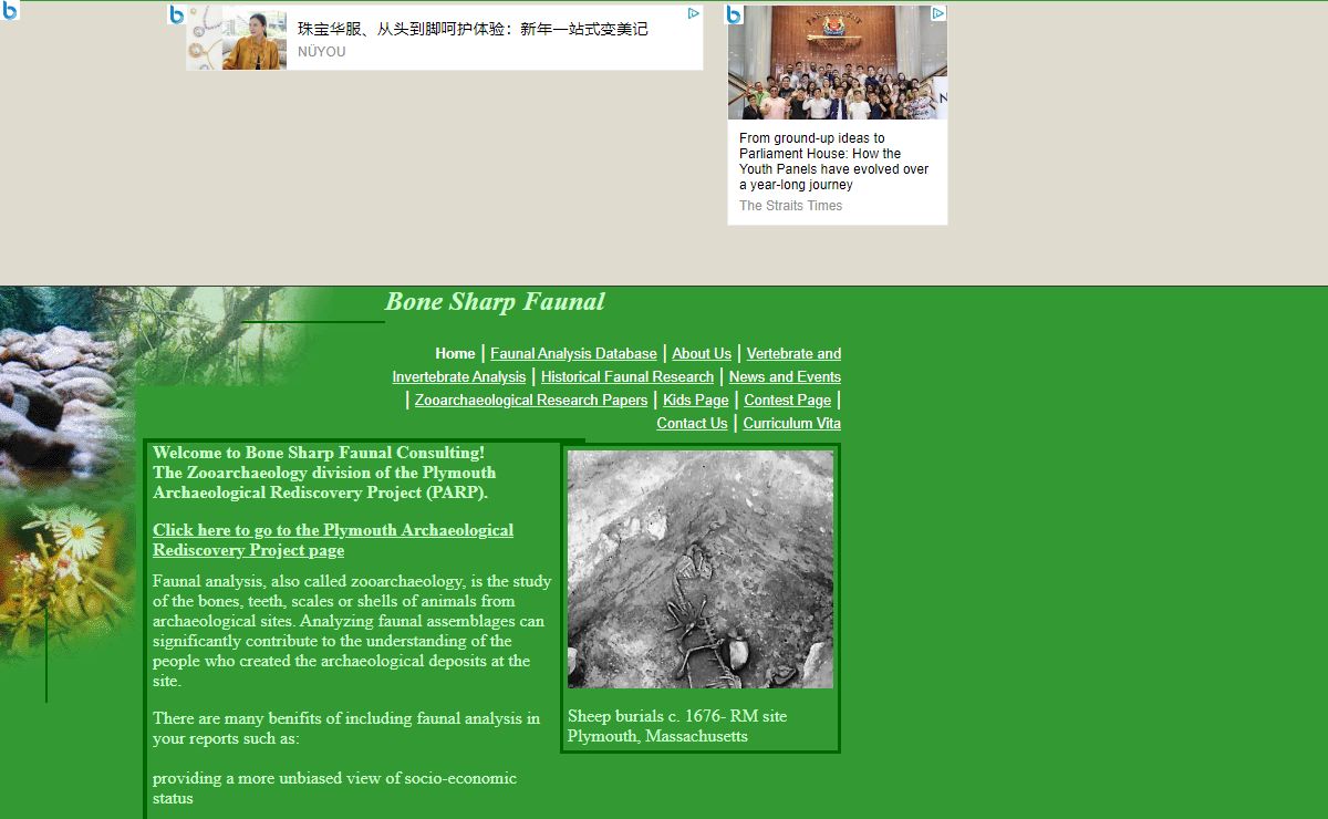 Bone Sharp Faunal